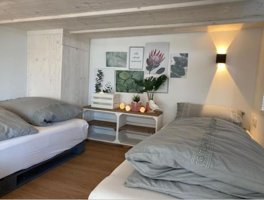 Tinyhouse Wald * Wilhelmsthal